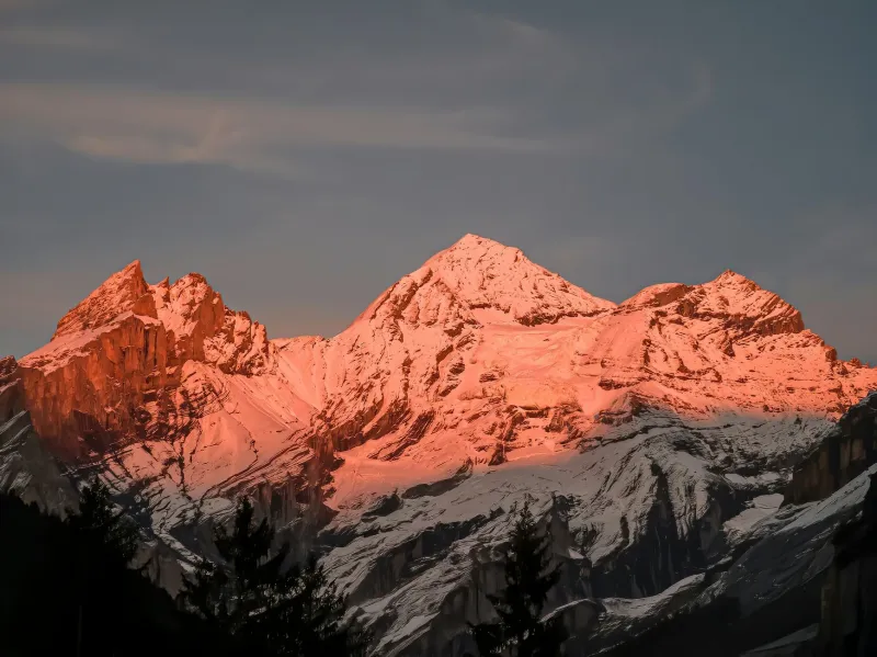 Once You Go Alpine, You Never Go Back: The Secret Behind Multi-Day Mountain Festivals and Their Insanely Loyal Crowds